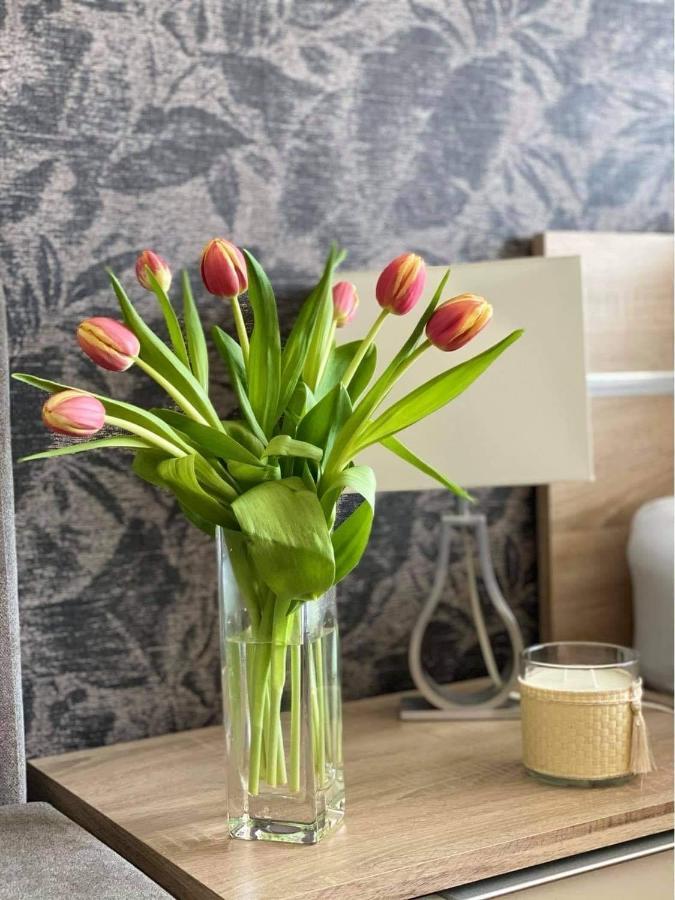 Lake And Spa Apartman Velence Dış mekan fotoğraf